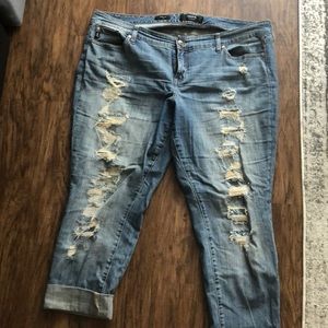 Torrid jeans